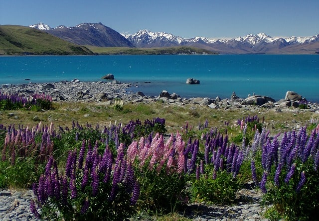 Turismo Sostenibile in Nuova Zelanda, un'immagine del Paesaggio e della Natura